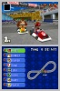 NDS Mario Kart DS