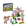 LEGO Friends 41746 Lóidomítás