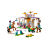 LEGO Friends 41746 Lóidomítás